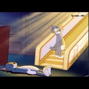 Meet your Posher, Ski